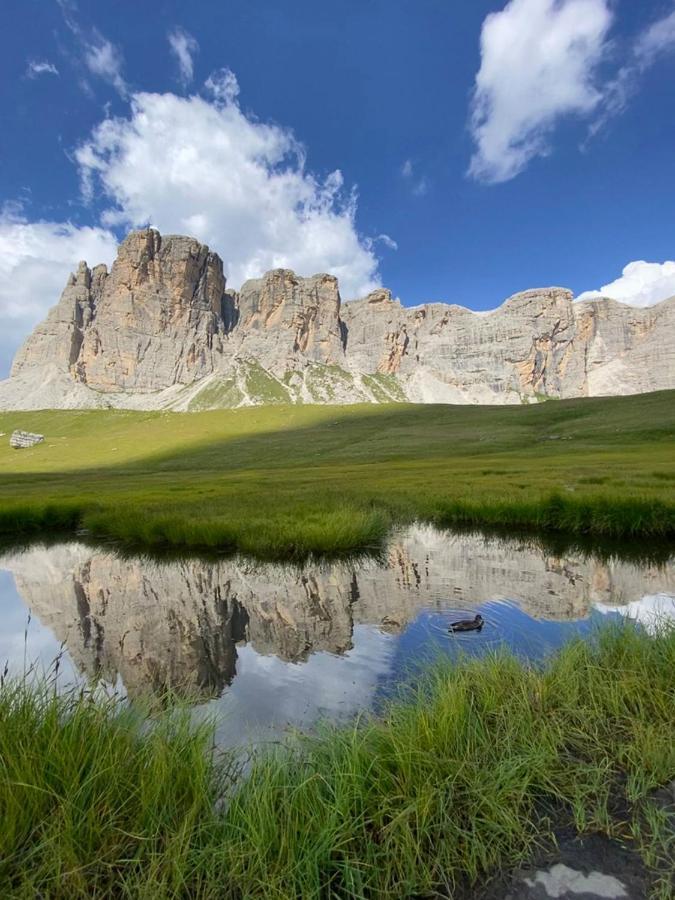 Casa Del Piol Fattoria Dei Fiori Leilighet Sospirolo Eksteriør bilde