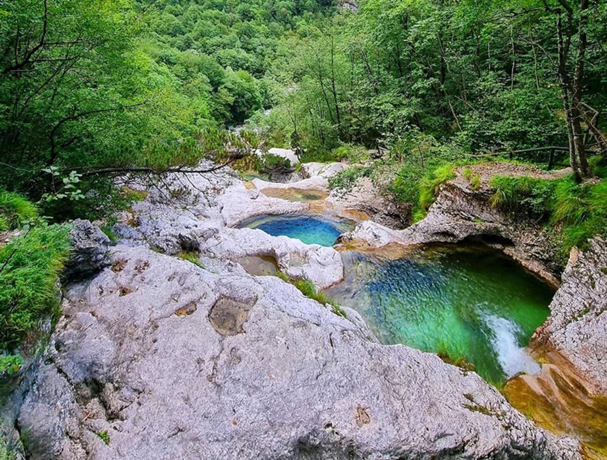 Casa Del Piol Fattoria Dei Fiori Leilighet Sospirolo Eksteriør bilde